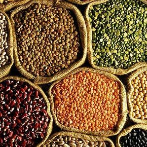 Beans and Legumes